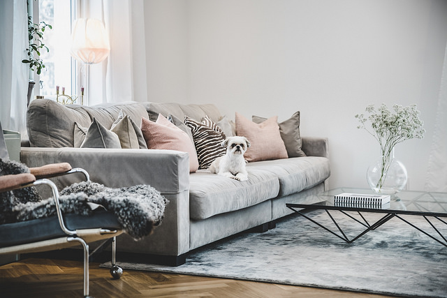 بجهز 4 أسباب تجعلك تختار الأريكة الرمادي لغرفة المعيشة بمنزلك