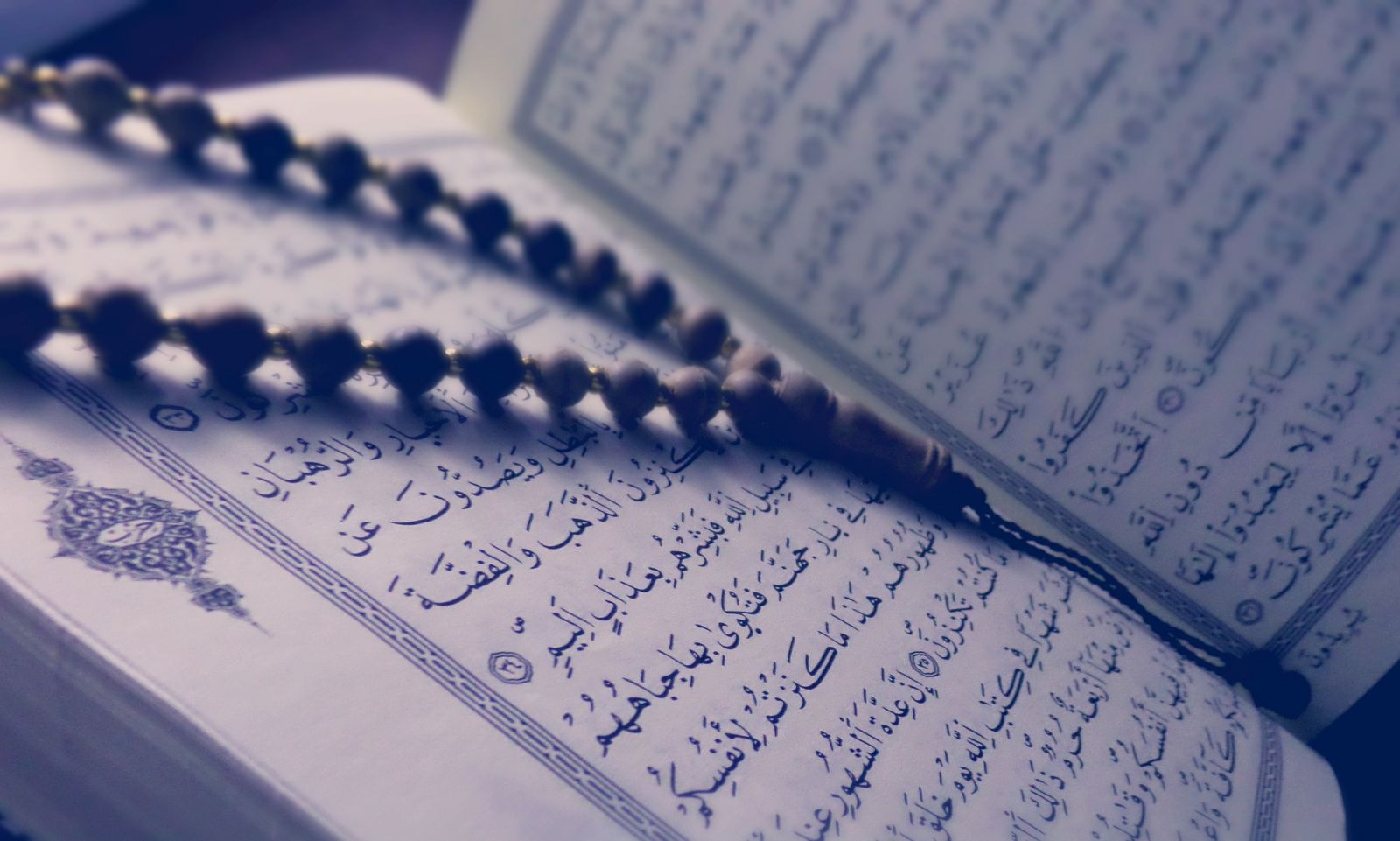 القرآن الكريم 