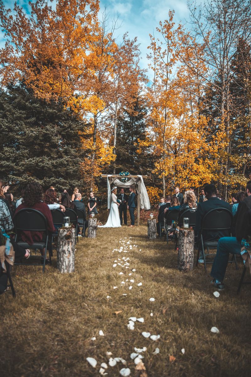 حفل زفاف
